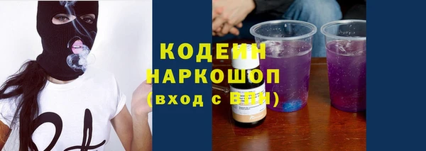 индика Абинск