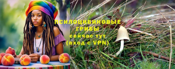 винт Рославль