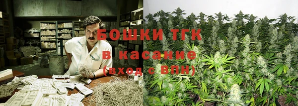 индика Абинск