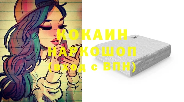 индика Абинск