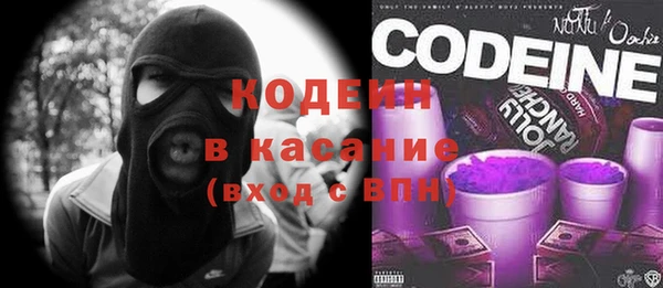 индика Абинск
