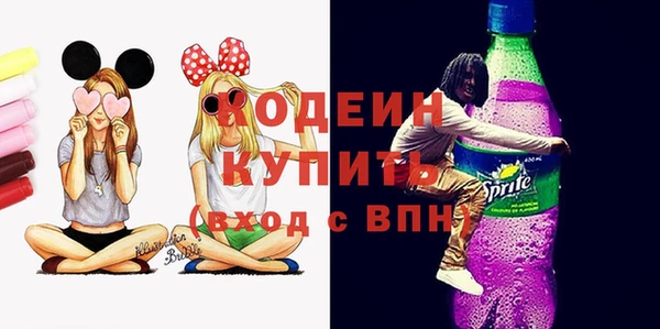индика Абинск