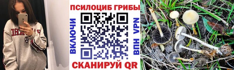 продажа наркотиков  Усмань  Галлюциногенные грибы GOLDEN TEACHER 