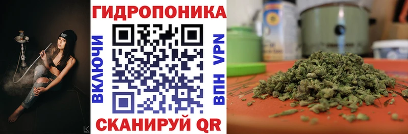 Бошки Шишки White Widow  хочу   Усмань 